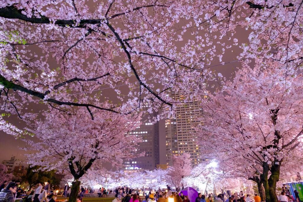 5Mins From Jr Kinshicho! Near Asakusa&Skytree! Tokyo prefektur Exteriör bild