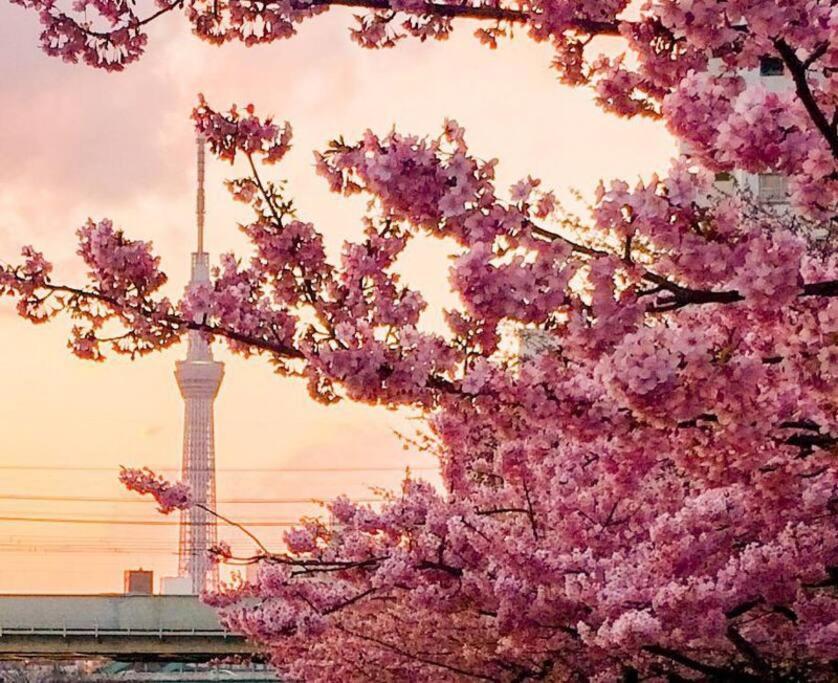 5Mins From Jr Kinshicho! Near Asakusa&Skytree! Tokyo prefektur Exteriör bild